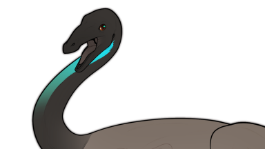 STR-109: Pigeon Thumbnail