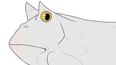 Thumbnail for USI-002