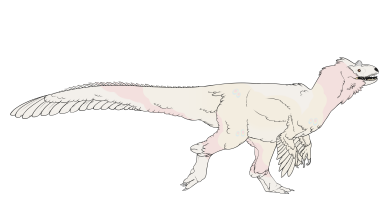 Thumbnail for USI-017: Jeo