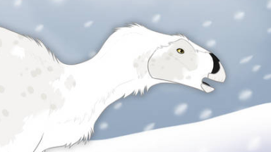 Thumbnail for USI-002: Snow Swan