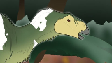 Thumbnail for USI-006: Kiko