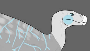 Thumbnail for USI-009: Jazz