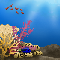 Ocean Reef Background