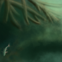 River Bed Background
