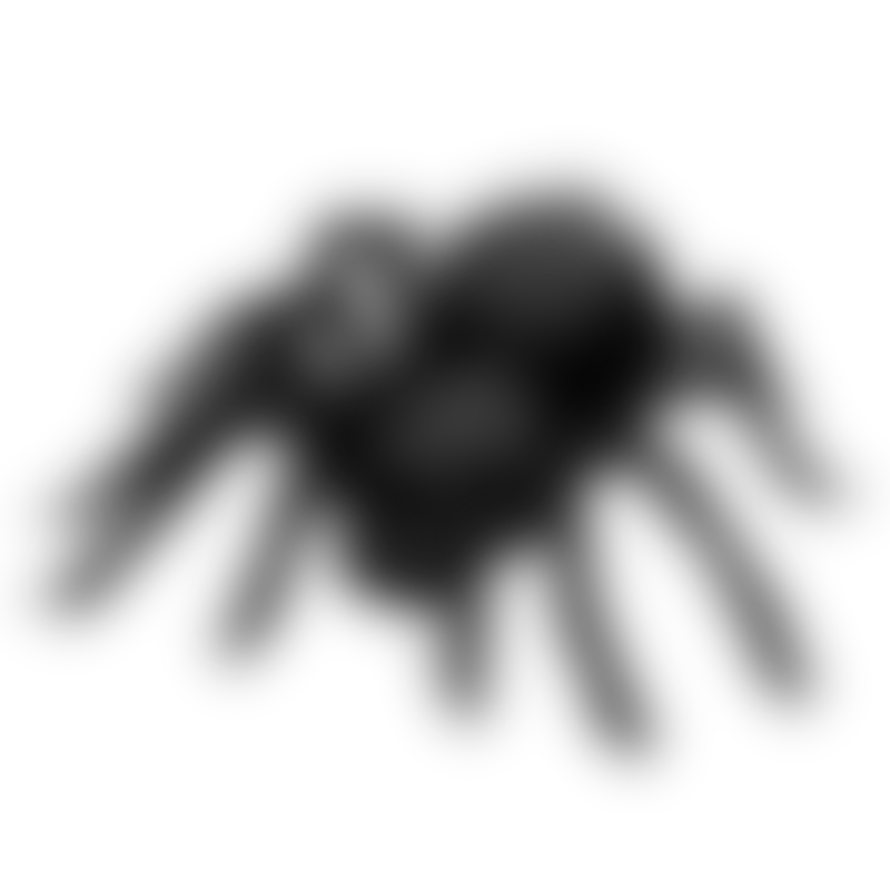 Tarantula